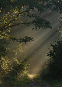 poranek_0120-fot_J_-Kupryjanowicz