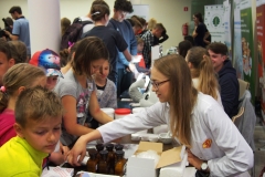 Festiwal na UMB