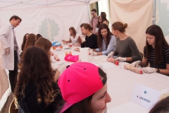 Festiwal na UMB