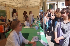 Festiwal na UMB