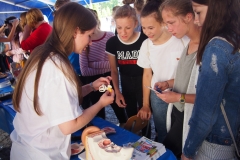 Festiwal na UMB
