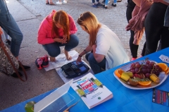 Festiwal na UMB