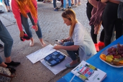 Festiwal na UMB