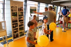 UwB_festiwal