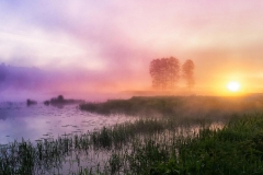 fot. Halina Bramska