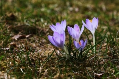 fot. Wioletta Omelianiuk