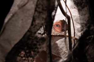 thumbnail_IMG_2690