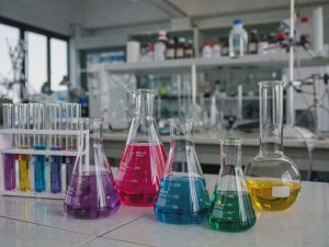 lab
